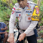 Kabel Telkom di 3 Titik Dipotong, Jaringan Internet Area Patani dan Patani Utara Lemot